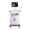 B / W Trolley Ultrasound Scanner ราคาเครื่องอัลตร้าซาวด์ที่ดี